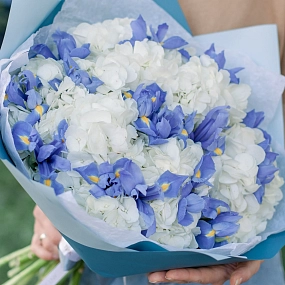 Букет из 5 белых гортензий и 15 синих ирисов в голубой пленке