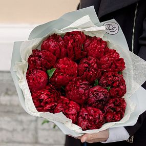Букет из 15 бордовых пионов Premium в голубой пленке