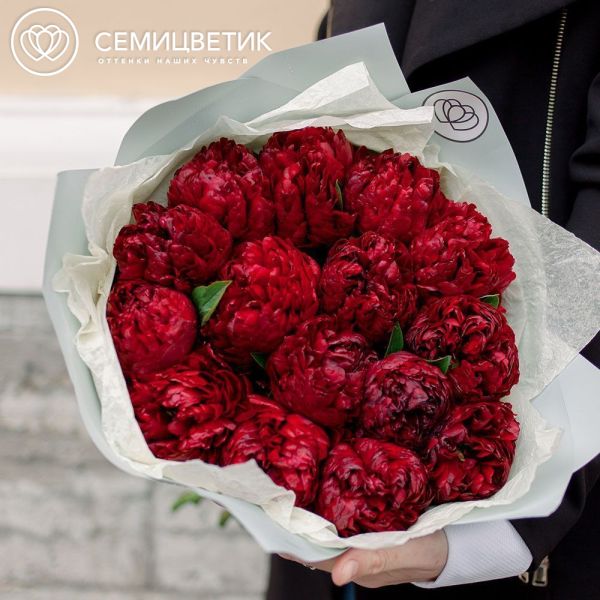 Букет из 15 бордовых пионов Premium в голубой пленке