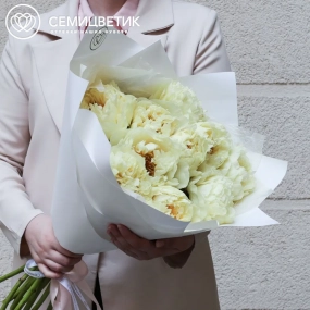 Букет из 11 лимонных пионов Lemon Chiffon Premium в белой пленке