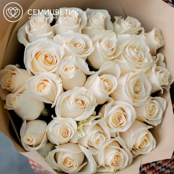 Букет из 25 белых роз Vendela 50 см (Эквадор) в кремовой пленке