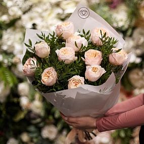 Букет из 11 персиковых пионовидных роз Juliet 50 см (Эквадор) с фисташкой