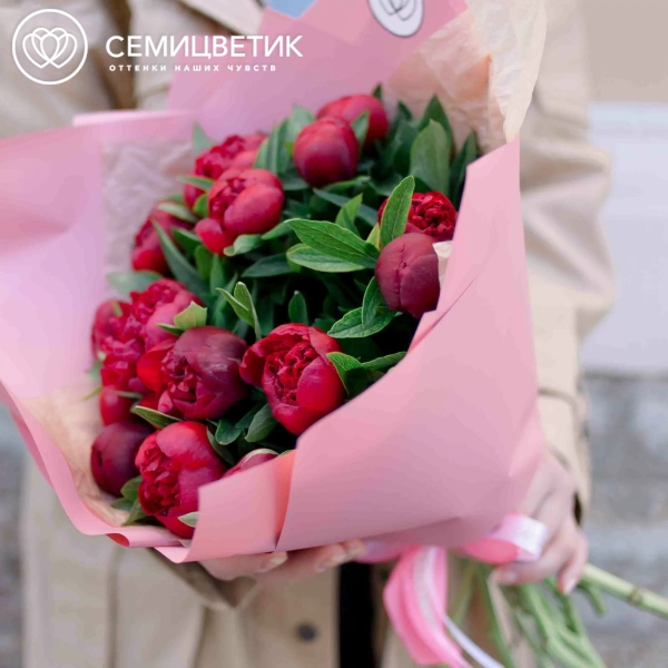Букет из 15 бордовых пионов Standart в розовой пленке