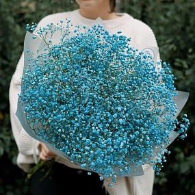 Букет из 11 голубых гипсофил в прозрачной пленке