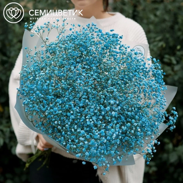 Букет из 11 голубых гипсофил в прозрачной пленке