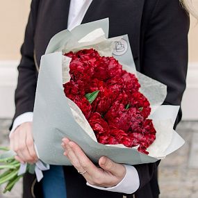 Букет из 15 бордовых пионов Premium в голубой пленке