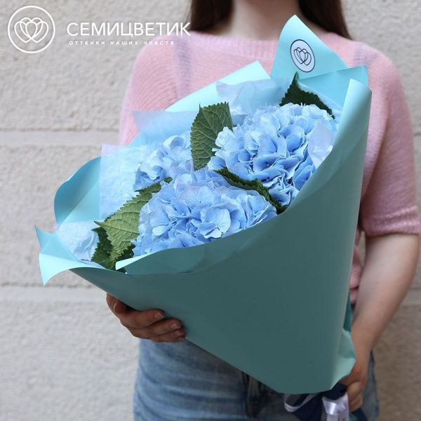 Букет из 3 голубых гортензий Premium в голубой пленке