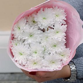 Букет из 3 белых кустовых хризантем