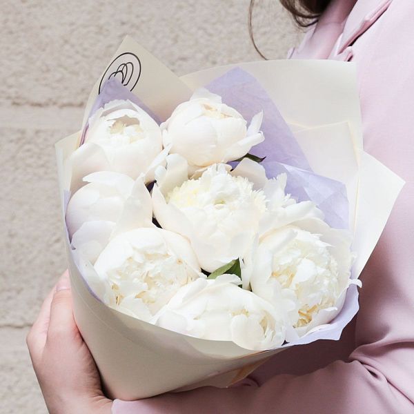 Букет из 7 кремовых пионов Bowl of Cream Premium в кремовой пленке