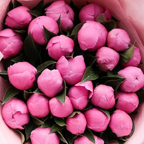 Букет из 25 ярко-розовых пионов Standart в бордовой пленке