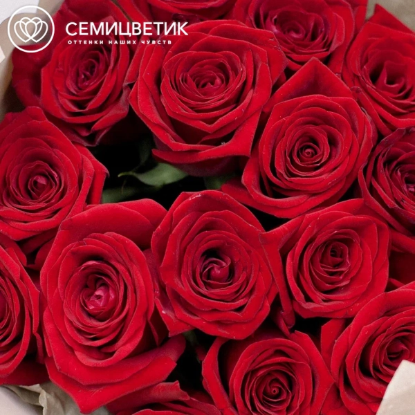 Букет из 15 красных роз 50 см (Россия)