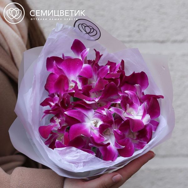 Букет из 25 фиолетовых орхидей в прозрачной пленке