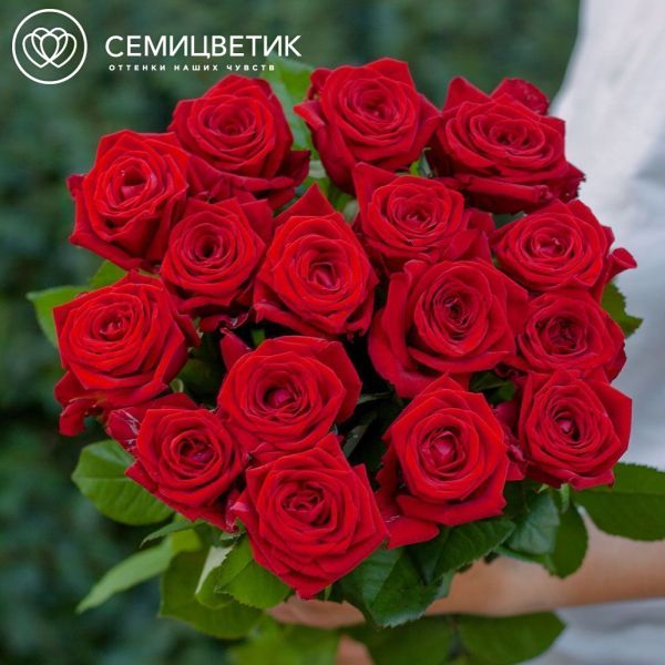 Траурный букет из 16 красных роз 60 см (Россия)