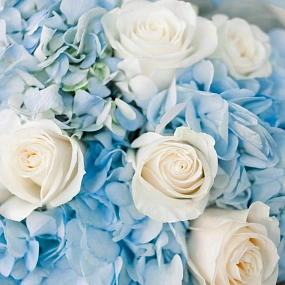 Букет из 3 голубых гортензий и 7 белых роз Vendela 50 см в голубой пленке