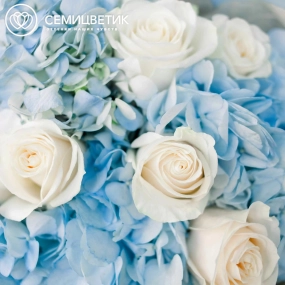 Букет из 3 голубых гортензий и 7 белых роз Vendela 50 см в голубой пленке