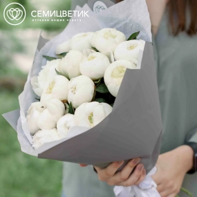 Букет из 15 белых пионов Standart Plus в голубой пленке