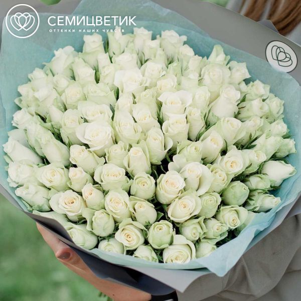 Букет из 101 белой розы 40 см (Кения) в голубой пленке
