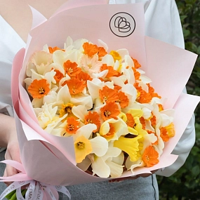 Букет из 51 нарцисса в розовой пленке