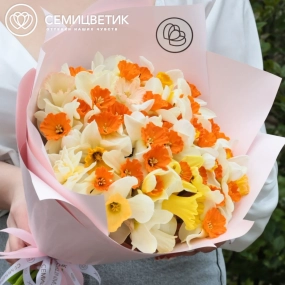 Букет из 51 нарцисса в розовой пленке