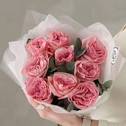 Букет из 9 пионовидных нежно-розовых роз Pink Ohara (Эквадор) 50 см с эвкалиптом