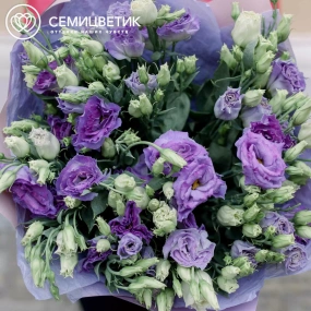 Букет из 15 фиолетовых лизиантусов в сиреневой пленке