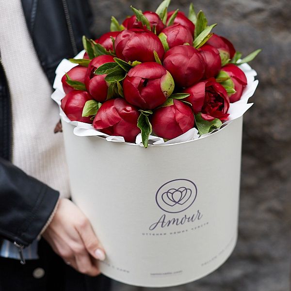 Букет в белой шляпной коробке Amour из 21 бордового пиона