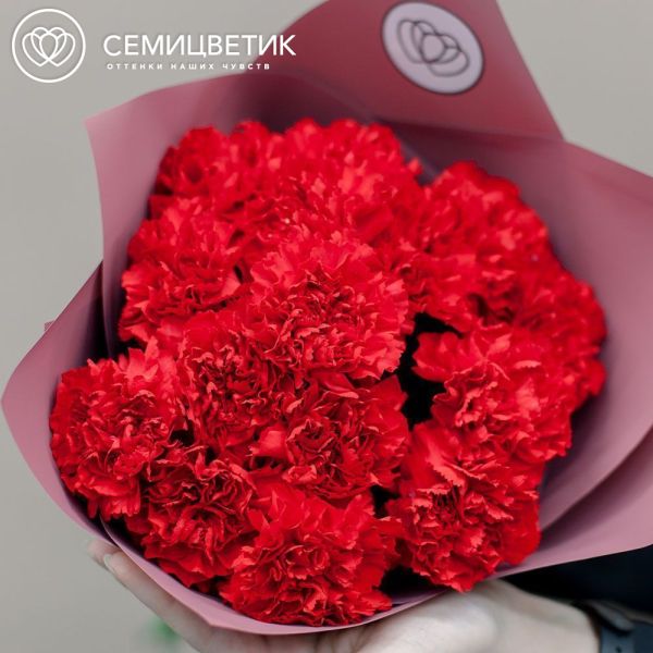 Букет из 15 красных гвоздик в розовой пленке