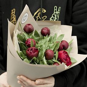 Монобукет  из 9 бордовых пионов Standart в кремовой пленке