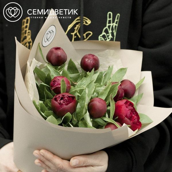 Букет из 9 бордовых пионов Standart в кремовой пленке