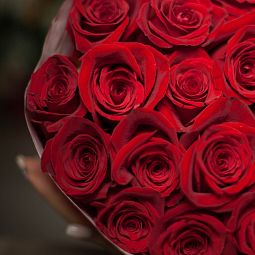 Букет из 17 красных роз Freedom 60 см (Эквадор)