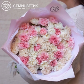 Букет из 51 розовой, белой и кремовой гвоздики в розовой пленке