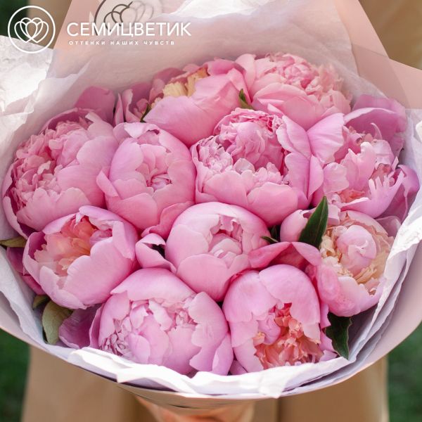 Букет из 11 розовых пионов Premium
