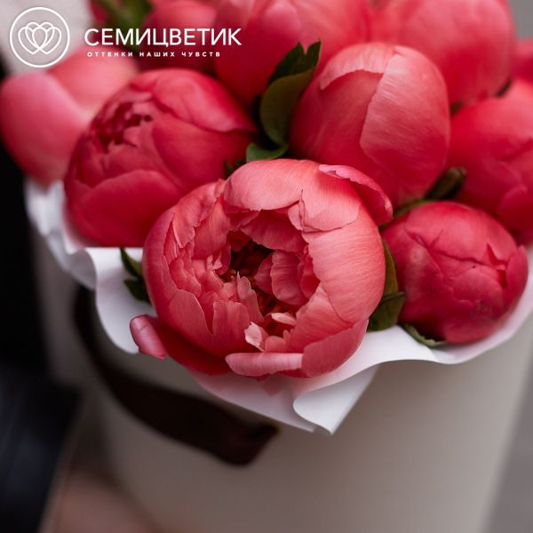Букет в белой шляпной коробке Amour Mini из 15 коралловых пионов Coral Sunset Premium