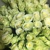 Розы микс 40 см (Кения) Standart