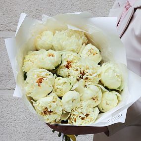 Букет из 15 лимонных пионов Lemon Chiffon Premium в белой пленке
