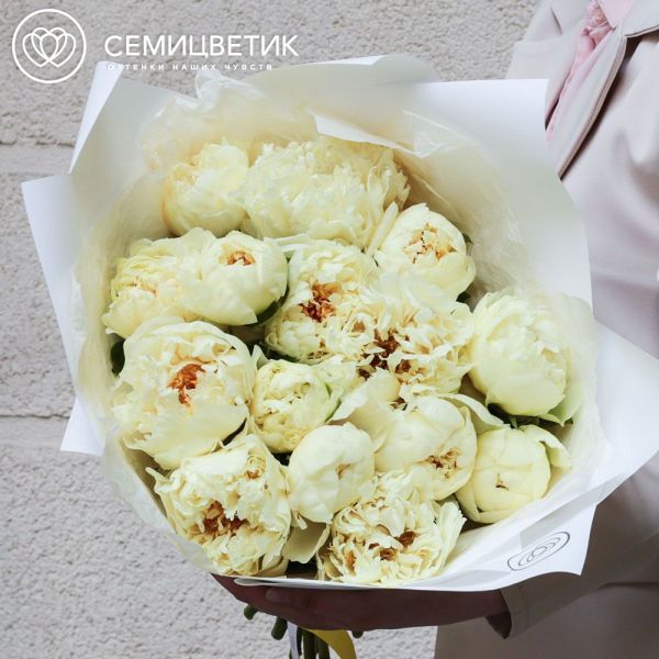 Букет из 15 лимонных пионов Lemon Chiffon Premium в белой пленке