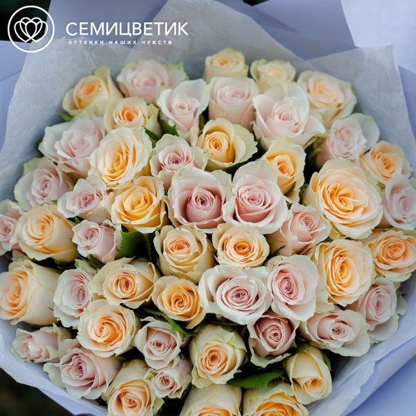 Букет из 51 кремовой и нежно-розовой розы 40 см (Кения)