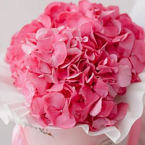 Букет в розовой шляпной коробке Amour Mini из 3 розовых гортензий