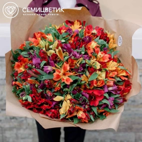 Букет из 51 альстромерии яркий микс в упаковке