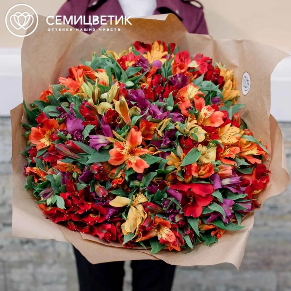 Букет из 51 альстромерии яркий микс в упаковке