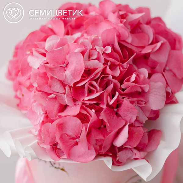 Букет в розовой шляпной коробке Amour Mini из 3 розовых гортензий