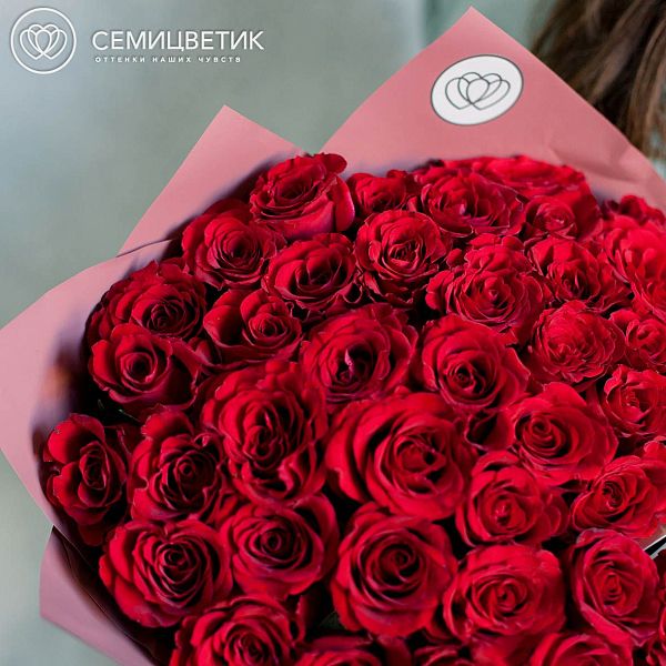 51 красная роза Premium (Кения) в натуральной сетке ZL