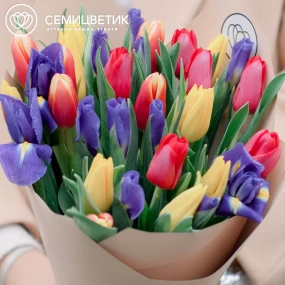 Букет из 15 ирисов и 20 тюльпанов в кремовой пленке