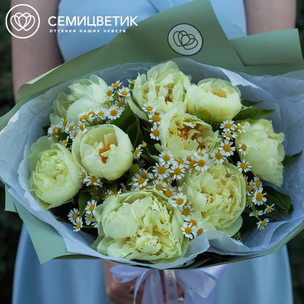 Букет из 9 лимонных пионов Lemon Chiffon Premium с матрикарией
