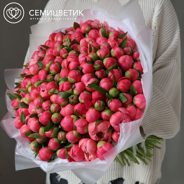 Букет из 151 кораллового пиона Coral Sunset Premium