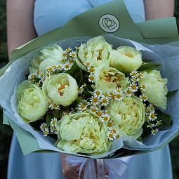 Букет из 9 лимонных пионов Lemon Chiffon Premium с матрикарией