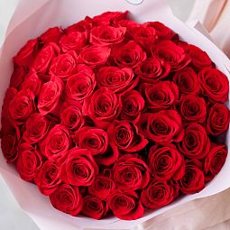 Большой букет  из 51 красной розы Freedom 50 см (Эквадор)