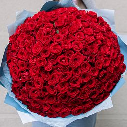 Букет из 151 красной розы 35-40 см (Россия)