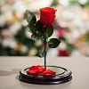 Красная роза в колбе 28 см
