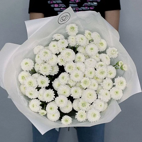 Букет из 25 белых кустовых хризантем